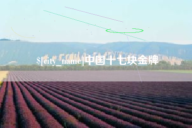 泗洪中国十七块金牌