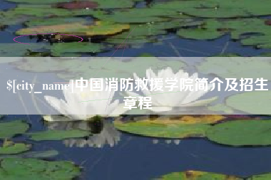 泗洪中国消防救援学院简介及招生章程