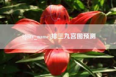泗洪排三九宫图预测