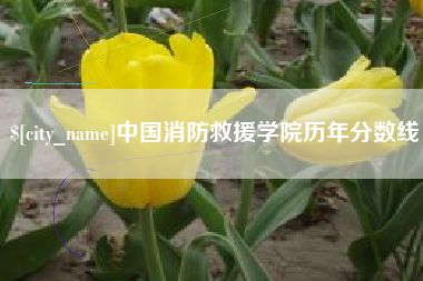 泗洪中国消防救援学院历年分数线