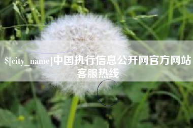 泗洪中国执行信息公开网官方网站客服热线