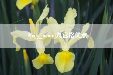 泗洪九宫格优点