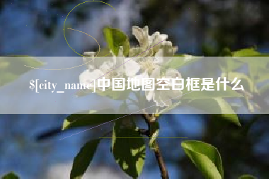 泗洪中国地图空白框是什么