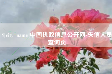 泗洪中国执政信息公开网-失信人员查询页