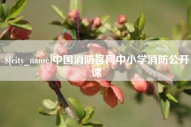 泗洪中国消防官网中小学消防公开课