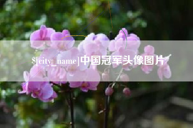 泗洪中国冠军头像图片