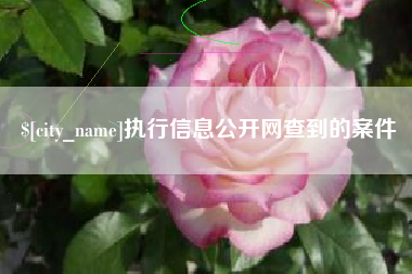 泗洪执行信息公开网查到的案件