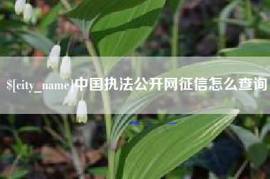 泗洪中国执法公开网征信怎么查询