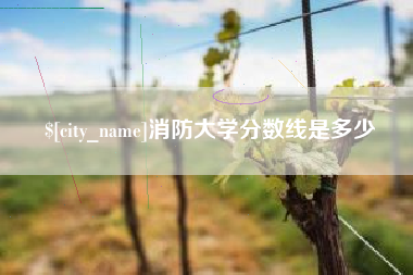 泗洪消防大学分数线是多少