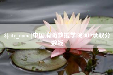 泗洪中国消防救援学院2019录取分数线
