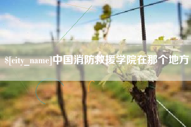 泗洪中国消防救援学院在那个地方