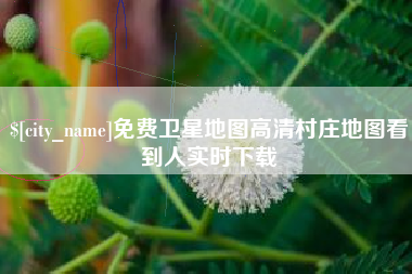 泗洪免费卫星地图高清村庄地图看到人实时下载