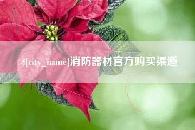 泗洪消防器材官方购买渠道
