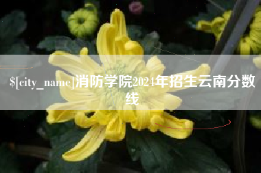 泗洪消防学院2024年招生云南分数线