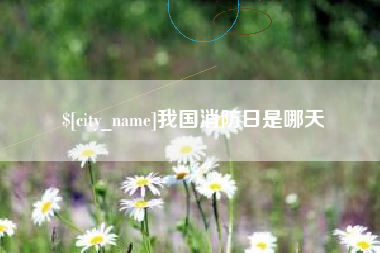 泗洪我国消防日是哪天