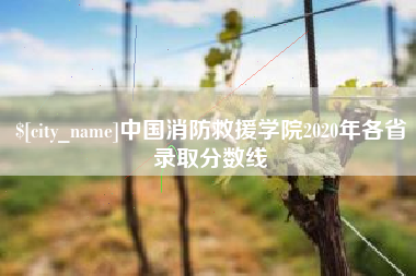泗洪中国消防救援学院2020年各省录取分数线