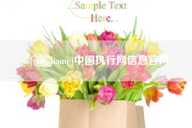 泗洪中国执行网信息官网
