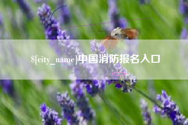 泗洪中国消防报名入口