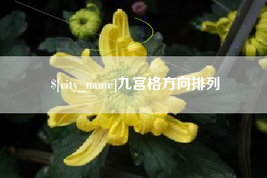 泗洪九宫格方向排列