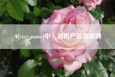 泗洪中囯消防产品信息网