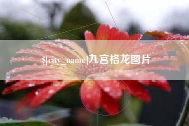 泗洪九宫格龙图片