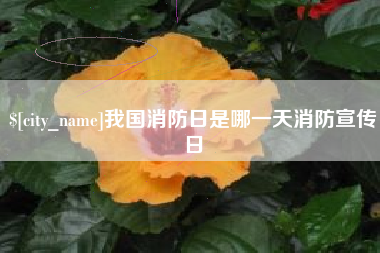 泗洪我国消防日是哪一天消防宣传日