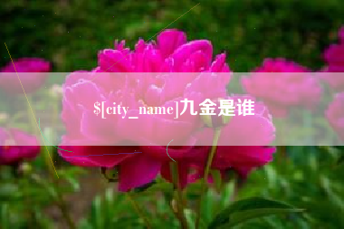 泗洪九金是谁