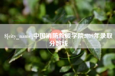 泗洪中国消防救援学院2019年录取分数线