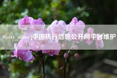 泗洪中国执行信息公开网平台维护