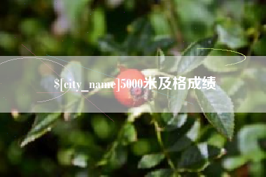 泗洪5000米及格成绩