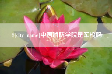 泗洪中国消防学院是军校吗