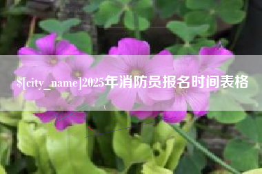 泗洪2025年消防员报名时间表格