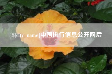 泗洪中国执行信息公开网后