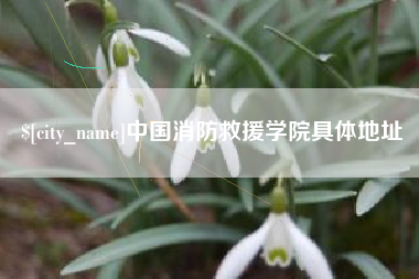 泗洪中国消防救援学院具体地址