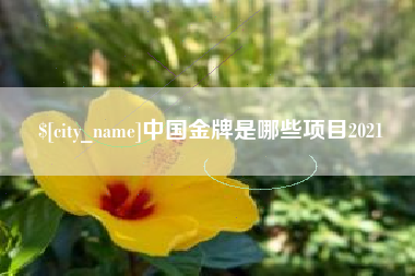 泗洪中国金牌是哪些项目2021