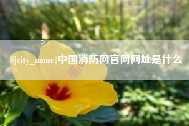 泗洪中国消防网官网网址是什么