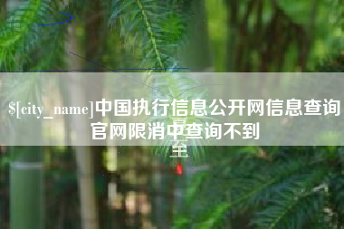 泗洪中国执行信息公开网信息查询官网限消中查询不到