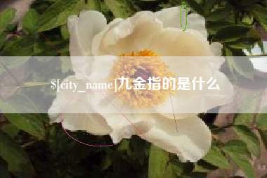 泗洪九金指的是什么