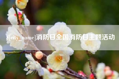 泗洪消防日全国消防日主题活动