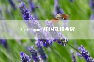 泗洪中国九枚金牌