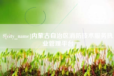 泗洪内蒙古自治区消防技术服务执业管理平台