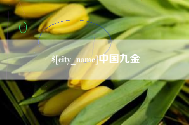 泗洪中国九金