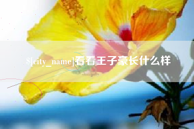 泗洪看看王子豪长什么样