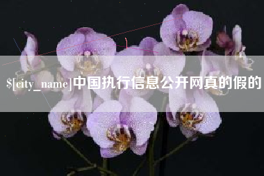 泗洪中国执行信息公开网真的假的