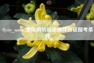 泗洪重庆消防设施操作员证报考条件