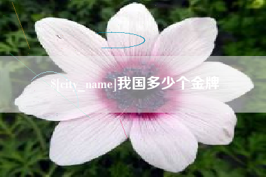 泗洪我国多少个金牌