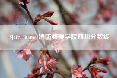泗洪消防救援学院四川分数线