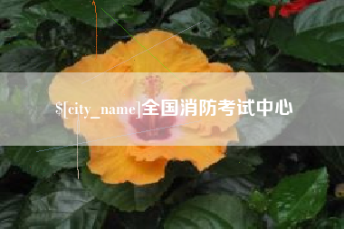 泗洪全国消防考试中心