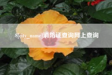 泗洪消防证查询网上查询