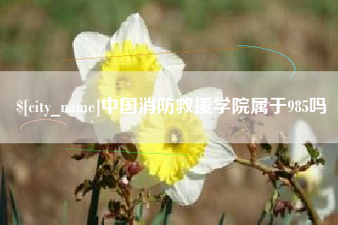 泗洪中国消防救援学院属于985吗
